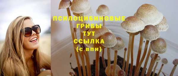 2c-b Балахна