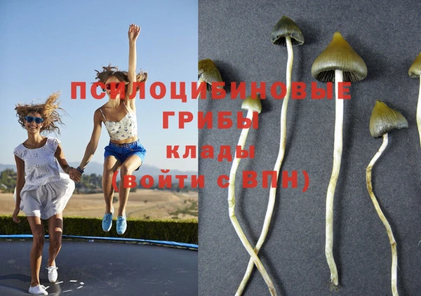 мет Аркадак