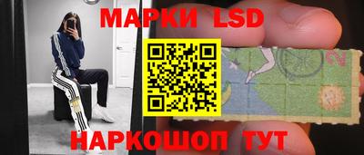 эйфоретик Кимры