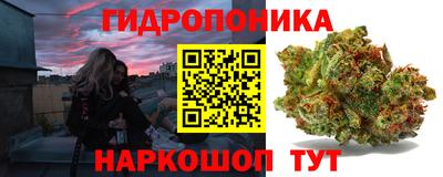 эйфоретик Кимры