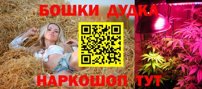 эйфоретик Кимры
