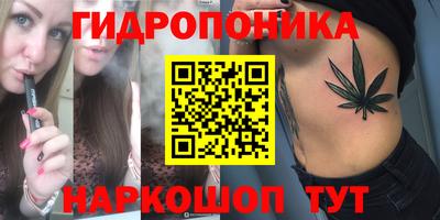 эйфоретик Кимры