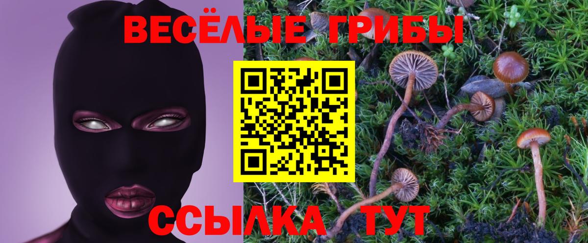 Рубцовск  Псилоцибиновые грибы Cubensis  Вход с VPN  Галлюциногенные грибы Psilocybine cubensis 