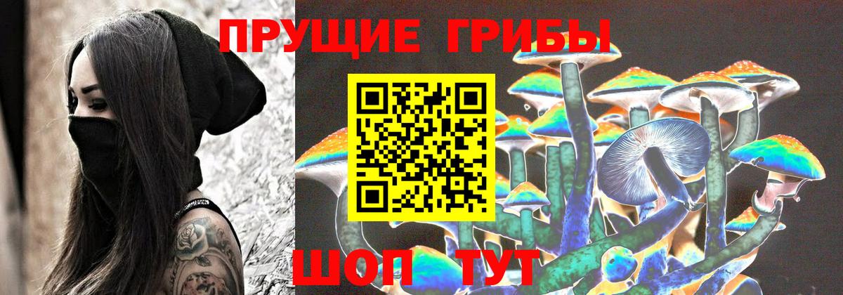 Псилоцибиновые грибы мицелий Рубцовск